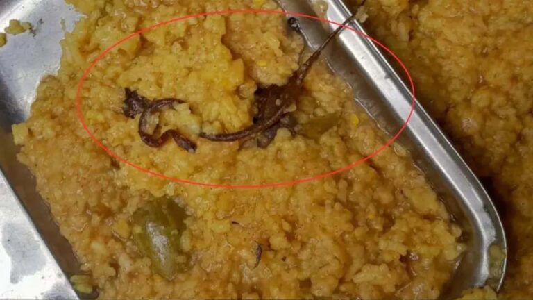 സ്‌കൂളില്‍ വിതരണം ചെയ്ത ഉച്ചഭക്ഷണത്തില്‍ ചത്ത പാമ്പ്; നൂറോളം കുട്ടികളെ ആശുപത്രിയില്‍ പ്രവേശിപ്പിച്ചു